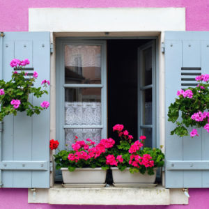 Holiday home concept. Photograph of a pink building with blue shutters on the window and pink flowers on the window sill