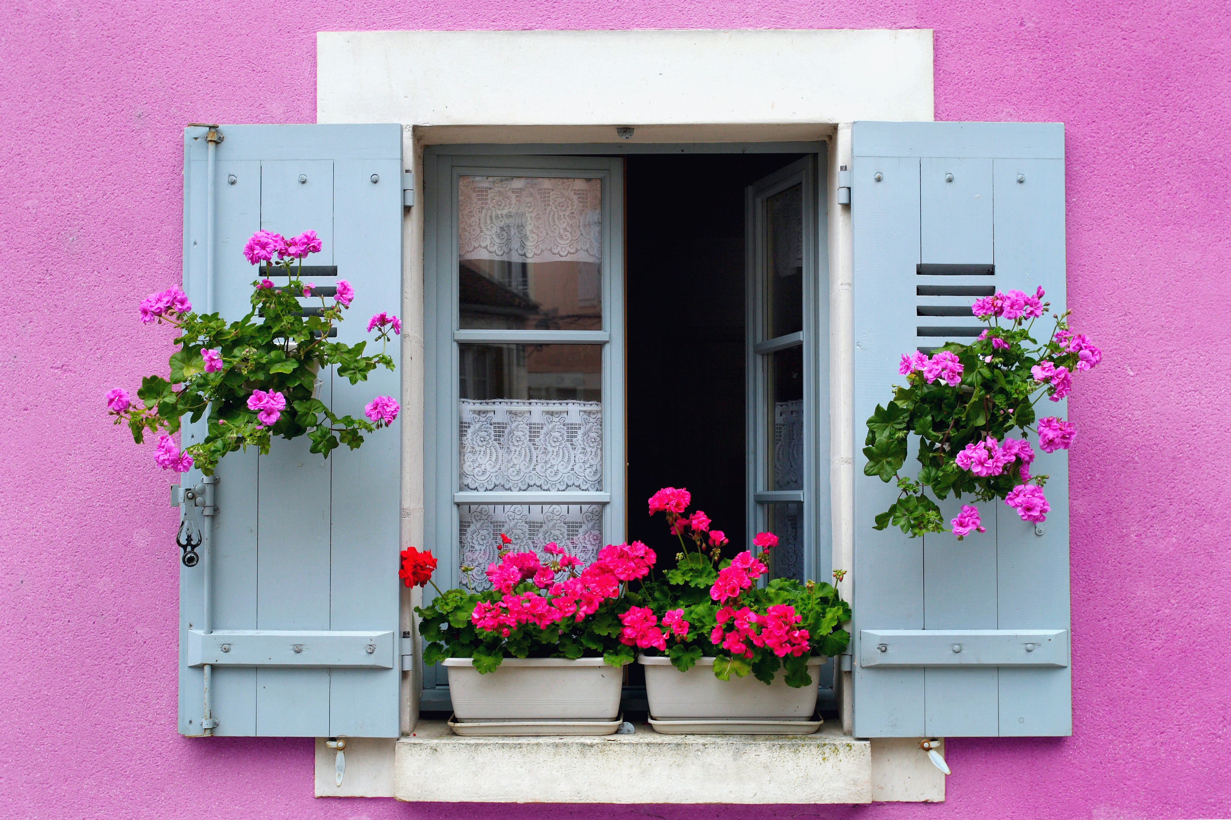 Holiday home concept. Photograph of a pink building with blue shutters on the window and pink flowers on the window sill