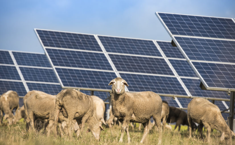 Health Risks Living Near Solar Farm Onkstgregg