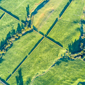 Aerial view on a farmland