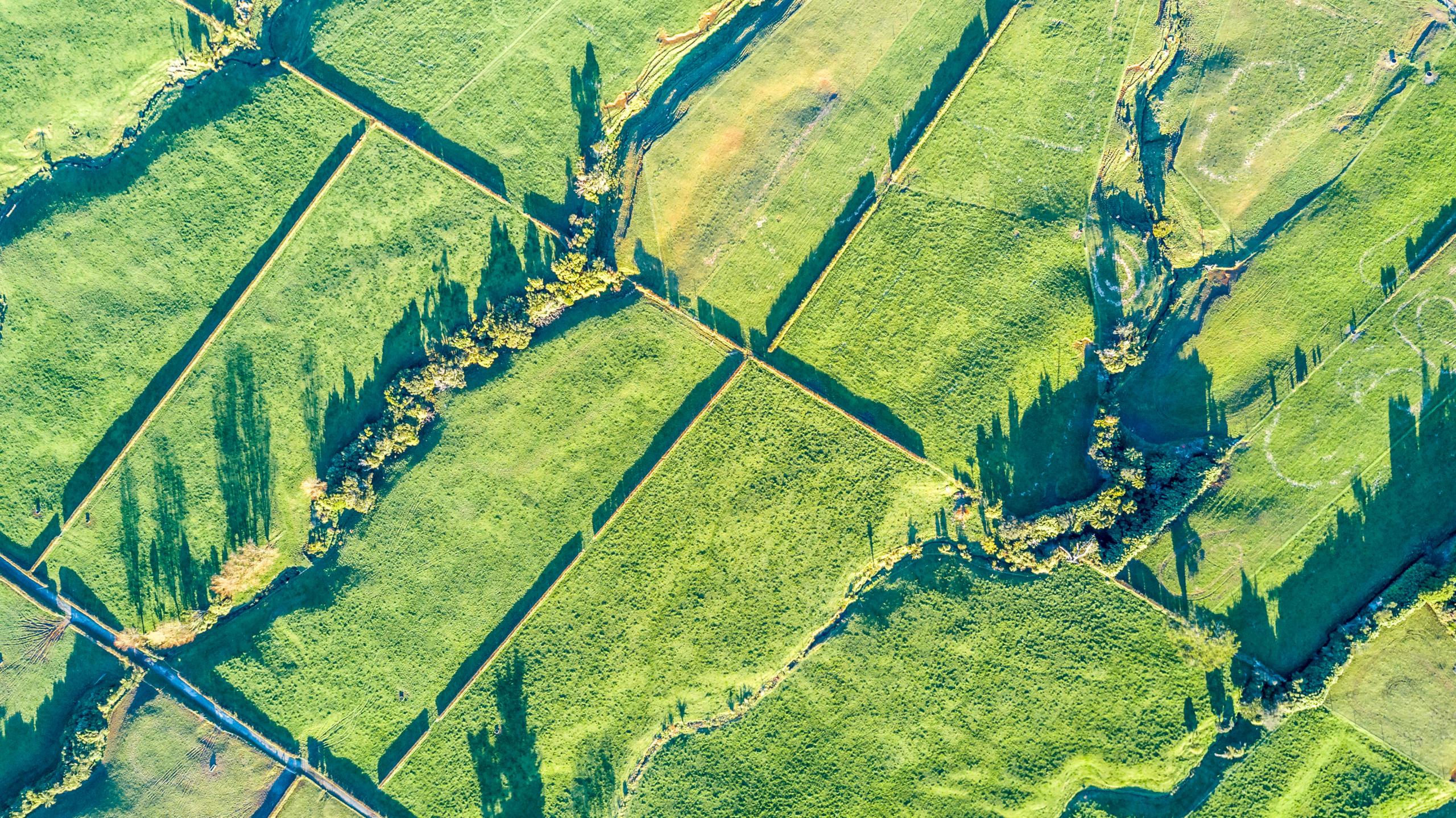 Aerial view on a farmland