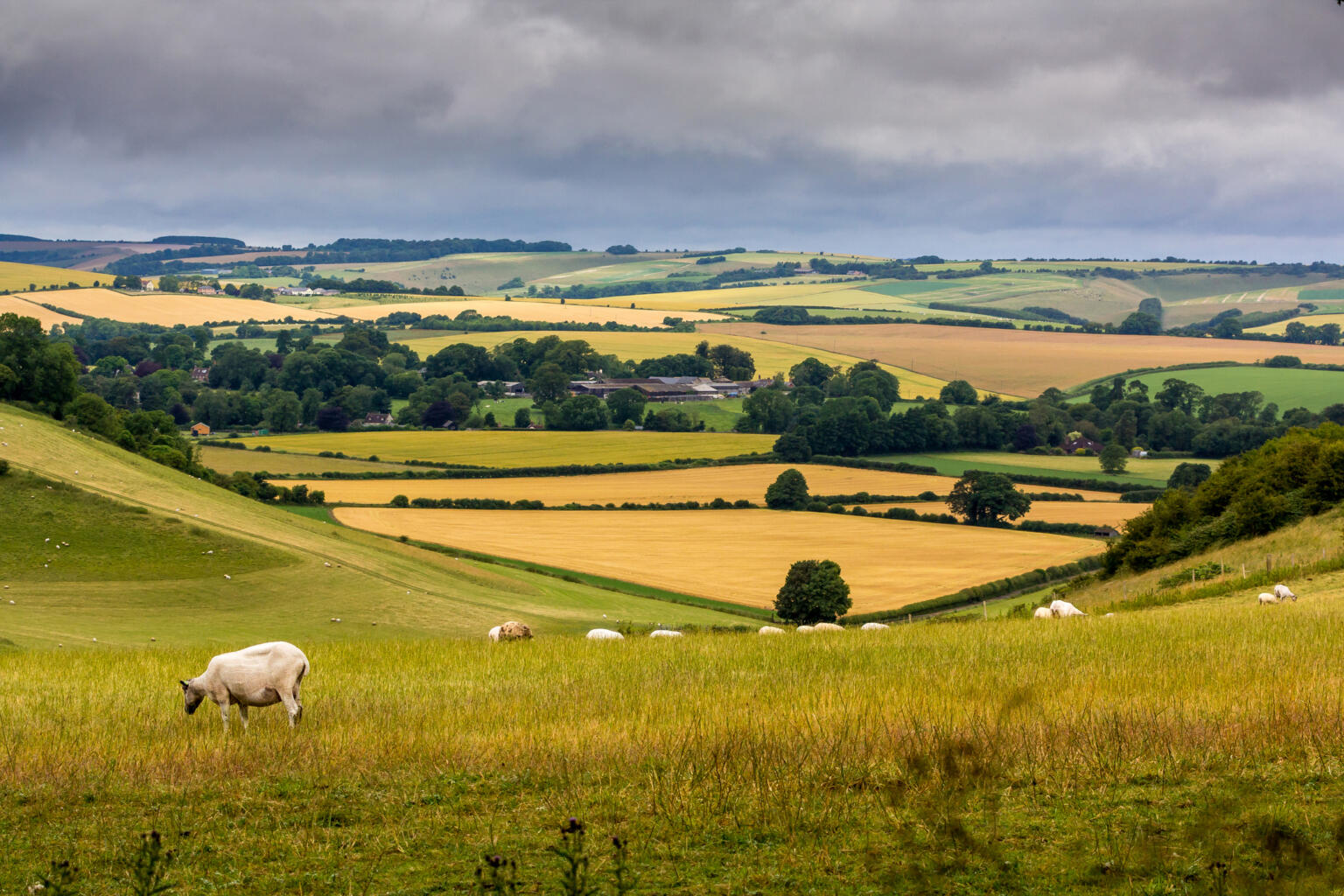 Elms The Uks Environmental Land Management Scheme Stephens Scown