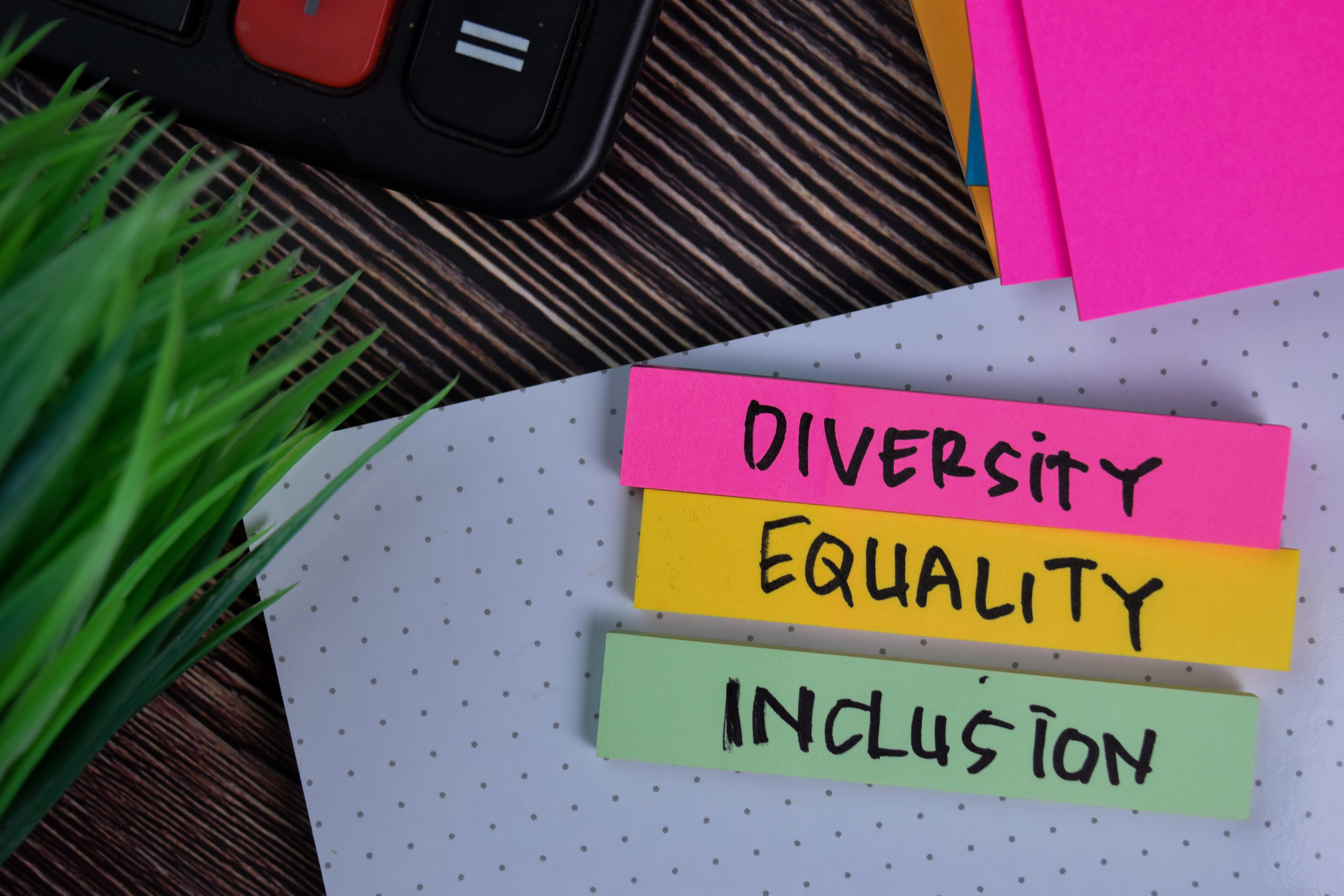 equality-diversity-why-ticking-the-box-isn-t-enough-stephens-scown