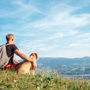 Man with his beagle dog sits on the top of hill.