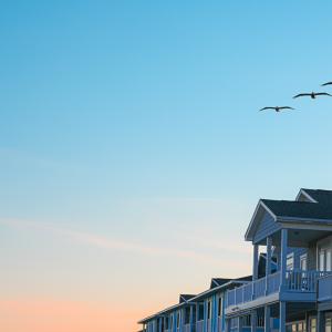A small flock of pelicans fly over beach houses at dusk.