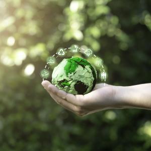 Concept for - Greenwashing - what is it and what are the legal risks?